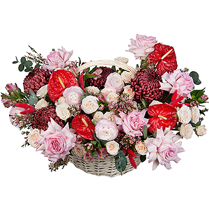 Velvet Passion with delivery Yaroslavl