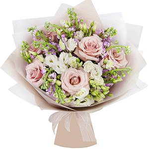 My dream with delivery Yaroslavl