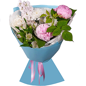 Peony pink - 1, Pink carnation - 1, White Matthiola - 1, Baltica White Spray Chrysanthemum - 1, Alstromeria white, soft pink - 3, White rose 50 cm Ecuador - 1,  Raspberry branch, Wrapping Paper
