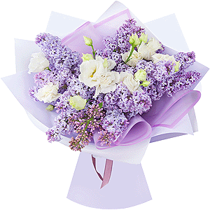 Lilac Bush - 6, lisianthus - 5, Wrapping Paper, Ribbon