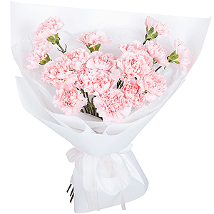 Heartfelt greetings with delivery Yaroslavl