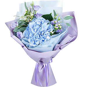 Blue/purple hydrangea - 3, Purple Lisianthus (Eustoma) - 4, Hypericum, Eucalyptus populus (1 pc.), Wrapping Paper