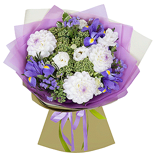 Bright dreams with delivery Yaroslavl