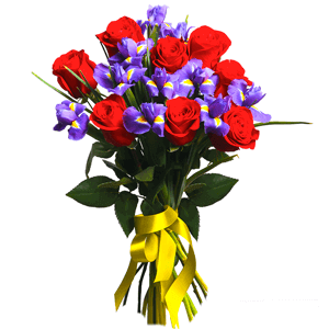 Irises - 18, Red rose 50 cm - 14, Ribbon