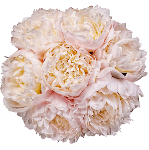 Soft Moments with delivery Yaroslavl