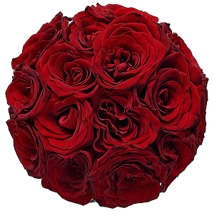 Red rose 50 cm - 19, Ribbon