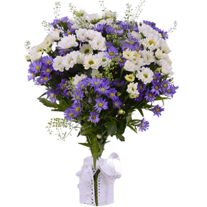 Gentle words with delivery Yaroslavl
