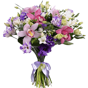 Arrangement of orchids and freesia with delivery Yaroslavl