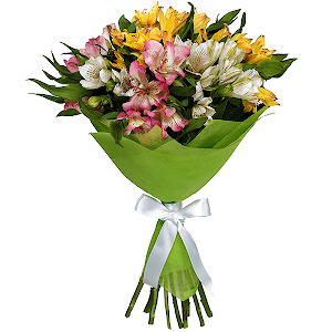 For the best Teacher with delivery Yaroslavl