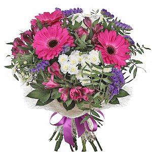 Brilliant with delivery Yaroslavl