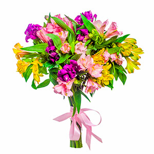 11 Alstroemerias with delivery Yaroslavl