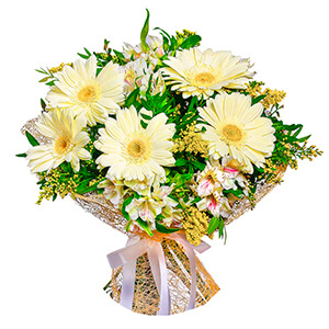 White Sun with delivery Yaroslavl