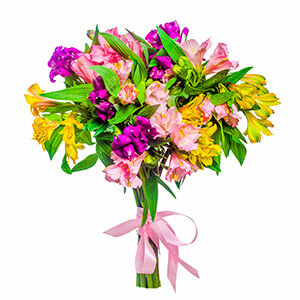 Alstroemerias - 13, Ribbon