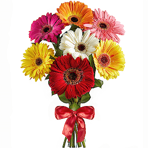 Gerbera yellow - 3, Gerbera white - 2, Gerbera daisies - 2, Gerbera red - 2, Gerbera pink - 1, Purple gerbera - 1, Ribbon, Aspidistra (1 pc.)