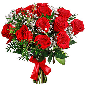Gypsophila - 2, Red rose 50 cm - 21, Ribbon, Pistachio