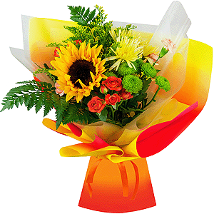 Golden sunset with delivery Yaroslavl