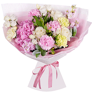 Summer breeze with delivery Yaroslavl