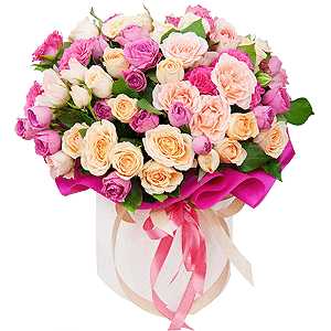 Colorful drops with delivery Yaroslavl