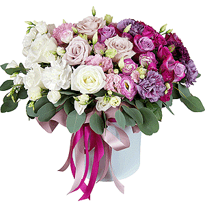 Euphoria with delivery Yaroslavl