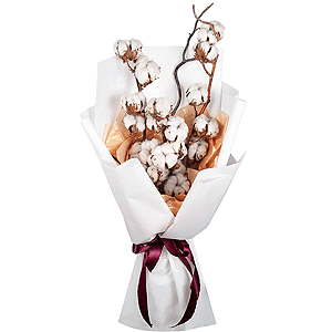 Cotton Bouquet with delivery Yaroslavl