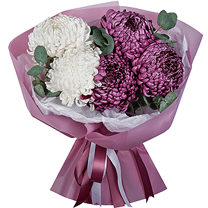 Chrysanthemum Bigoudi purple - 9, Eucalyptus, Wrapping Paper