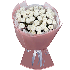 Snowy Wonder with delivery Yaroslavl