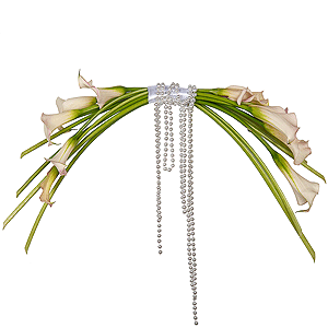 Calla lilies - 19, Ribbon