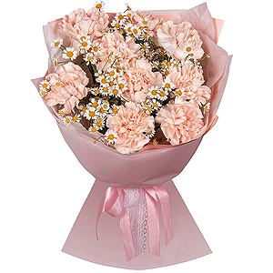 Chamomile Tenderness with delivery Yaroslavl