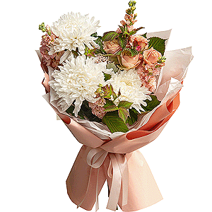 Star Student with delivery Yaroslavl