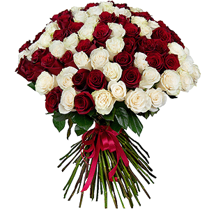 Red rose 70 cm Ecuador - 65, White rose 70 cm  (Ecuador) - 66, Ribbon