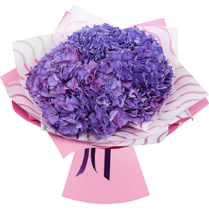 Bouquet of lilac hydrangeas with delivery Yaroslavl