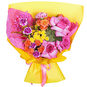 Sunny side with delivery Yaroslavl