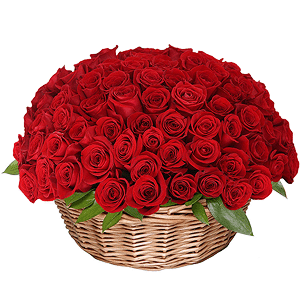 Basket of 101 red roses with delivery Yaroslavl