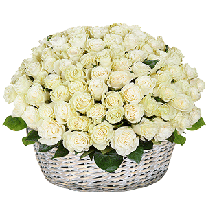 Basket of 101 white roses with delivery Yaroslavl
