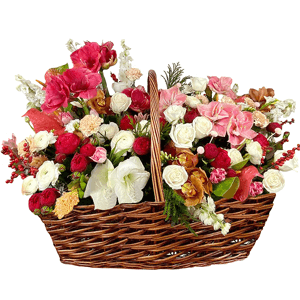 The Magnificent with delivery Yaroslavl