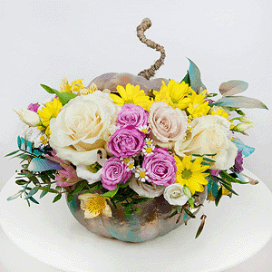 Trick or treat with delivery Yaroslavl