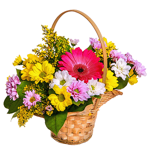 Сorporative present with delivery Yaroslavl
