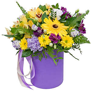 Sunbeams with delivery Yaroslavl