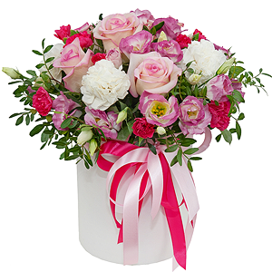 Darling with delivery Yaroslavl