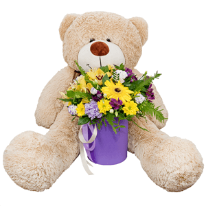 Sunbeams with teddy bear with delivery Yaroslavl
