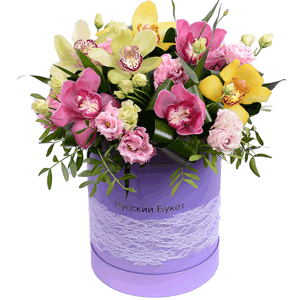 Arrangement of orchids in a hatbox with delivery Yaroslavl