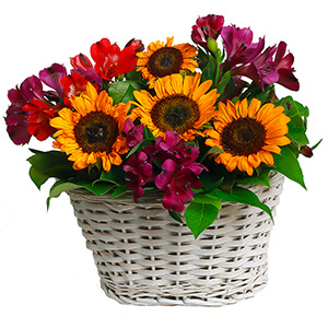 Warm Evening with delivery Yaroslavl