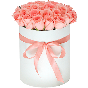 Pink rose 50 cm - 39, Ribbon, Round flower box medium, Oasis