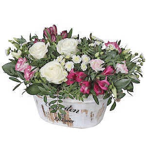 Dream with delivery Yaroslavl