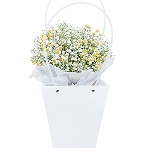 Bag with flowers with delivery Yaroslavl