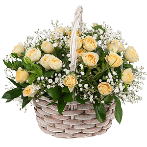 Rose garden with delivery Yaroslavl