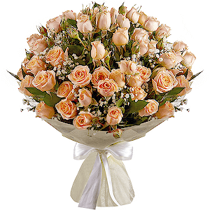 Wonderful Start VIP with delivery Yaroslavl