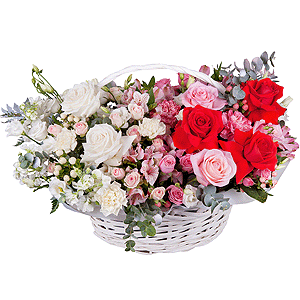 Tender touch with delivery Yaroslavl