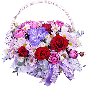 Our dreams with delivery Yaroslavl