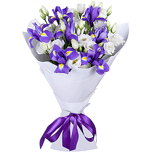 Sea Motive with delivery Yaroslavl